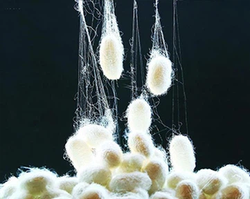 Tipus de teixits de fibra de bambú